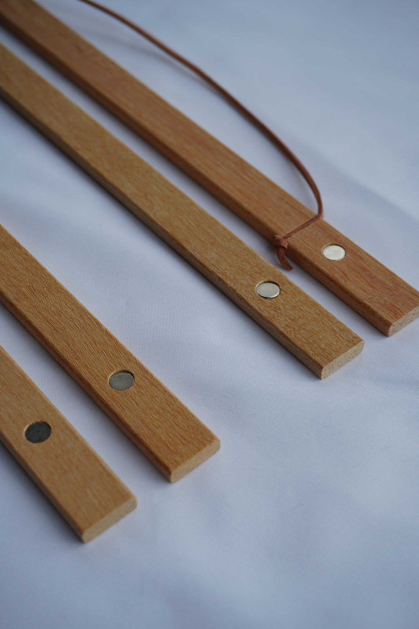 Posterleisten magnetisch