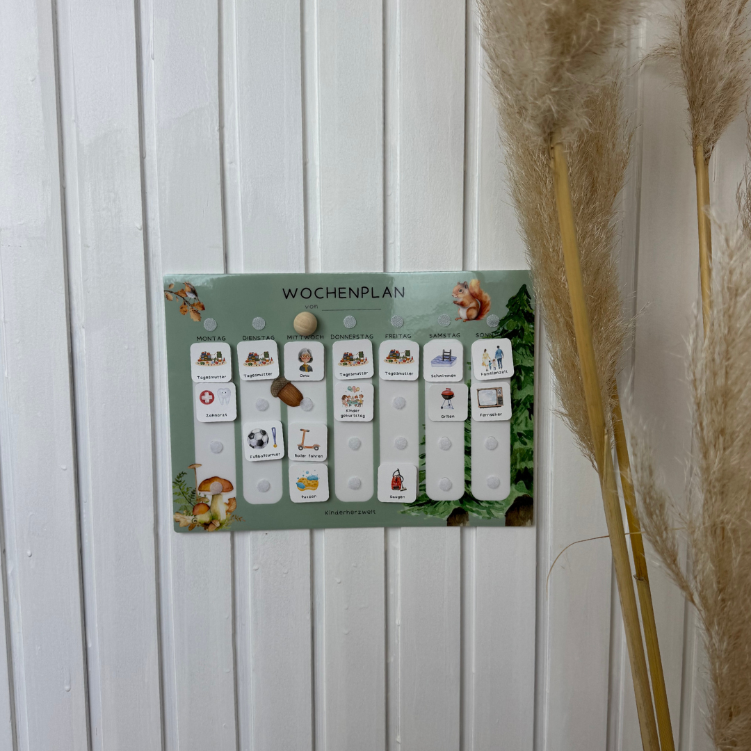 Komplett-Set Wald laminiert