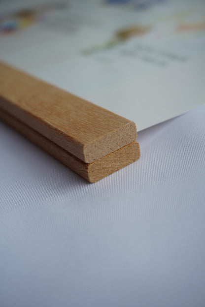 Posterleisten magnetisch