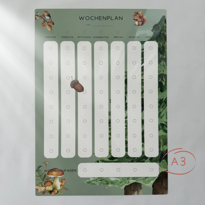 Wochenplan A3 Wald laminiert